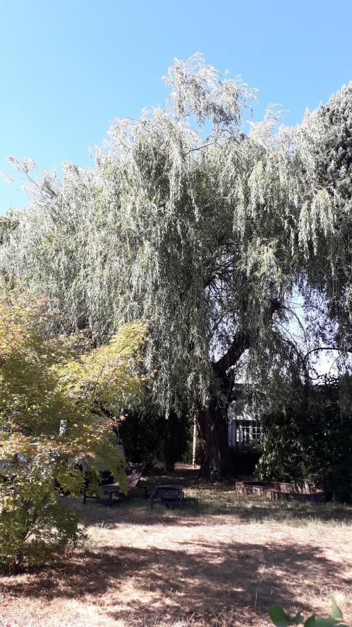 L' Abri Du Saule Aussillon Exterior foto