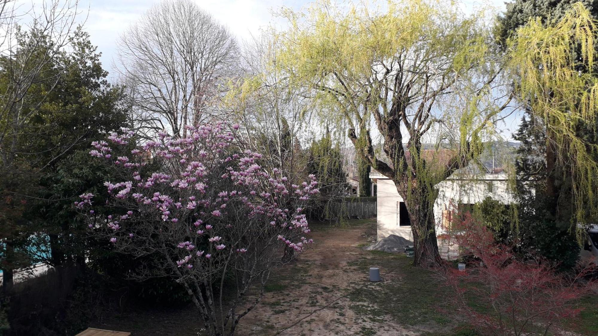 L' Abri Du Saule Aussillon Exterior foto